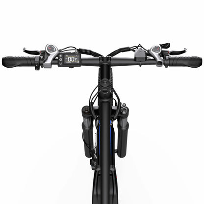 DUOTTS C29-L (UK) Electric Bike