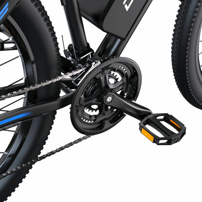 DUOTTS C29-L (UK) Electric Bike