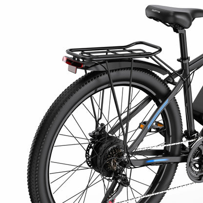 DUOTTS C29-L (UK) Electric Bike