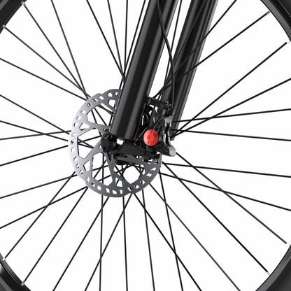 DUOTTS C29-L (UK) Electric Bike
