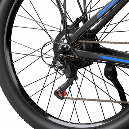 DUOTTS C29-L (UK) Electric Bike