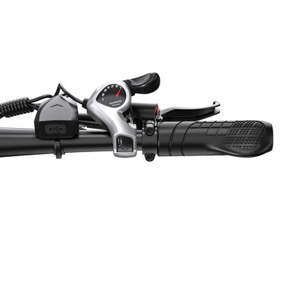 DUOTTS C29-L (UK) Electric Bike
