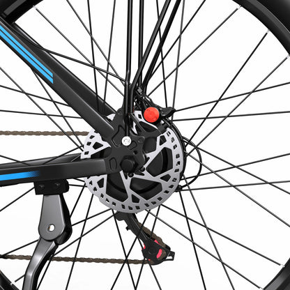 DUOTTS C29-L (UK) Electric Bike