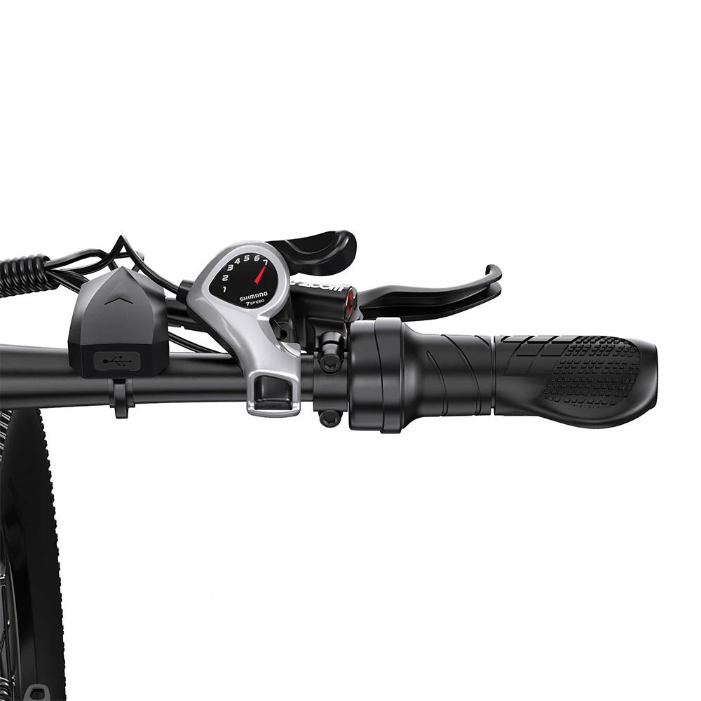 DUOTTS C29-K (EU) Electric Bike