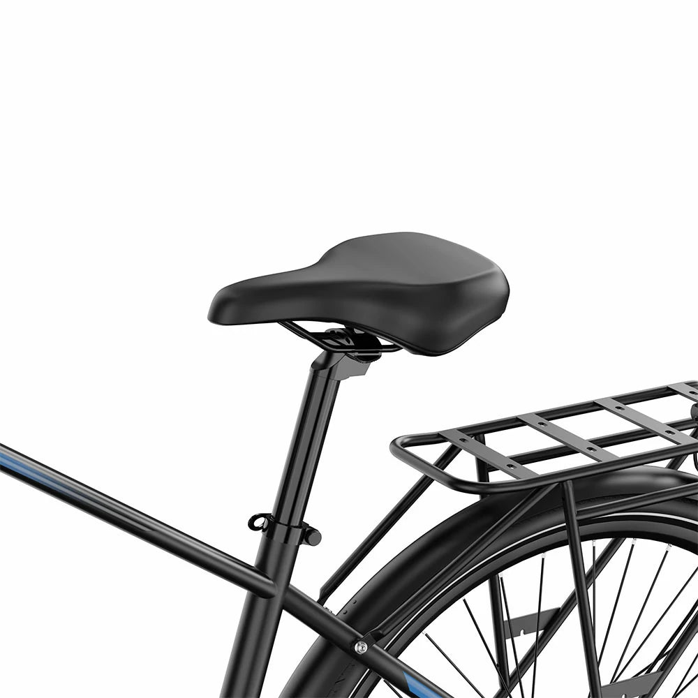 DUOTTS C29 Lite (EU) Electric Bike