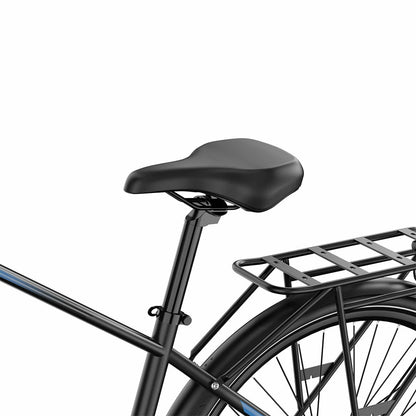 DUOTTS C29 Lite (EU) Electric Bike