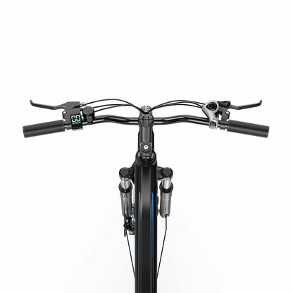 DUOTTS C29 Lite (EU) Electric Bike