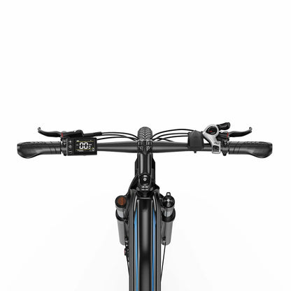 DUOTTS C29 Max (EU) Electric Bike