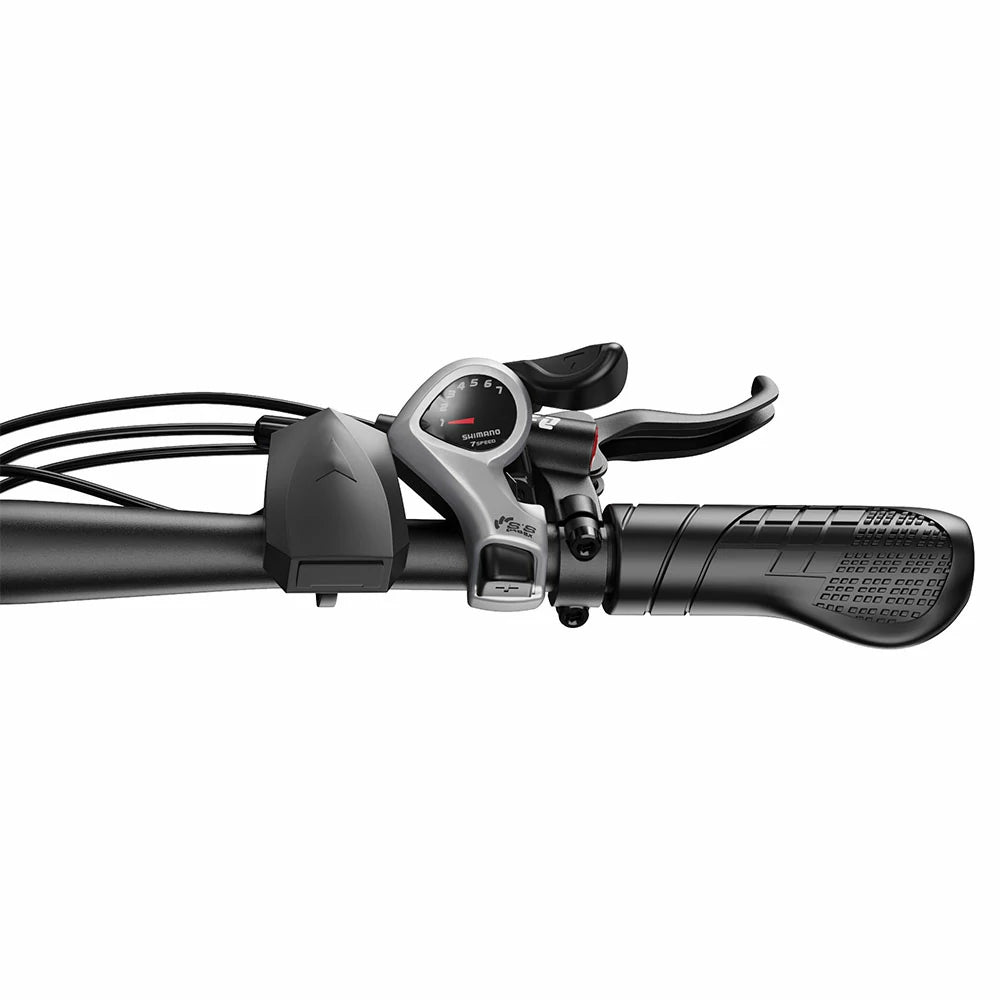 DUOTTS C29 Max (EU) Electric Bike
