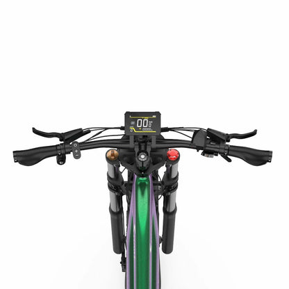 DUOTTS E26 (EU) Electric Bike