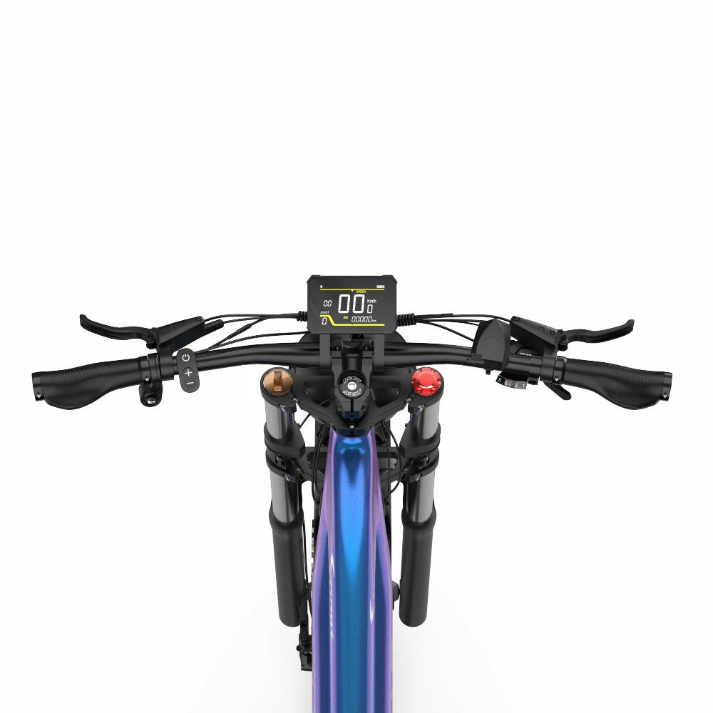 DUOTTS E26 (EU) Electric Bike