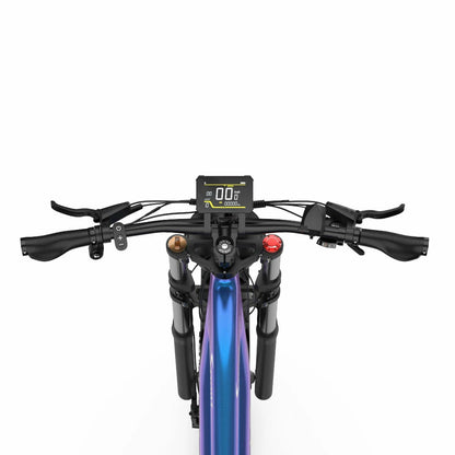 DUOTTS E26 (EU) Electric Bike