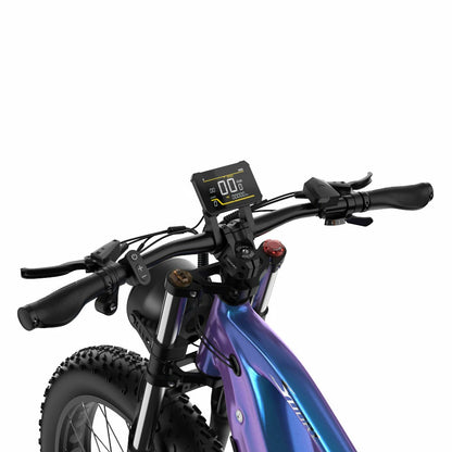 DUOTTS E26 (EU) Electric Bike