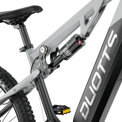DUOTTS E29 (EU) Electric Bike