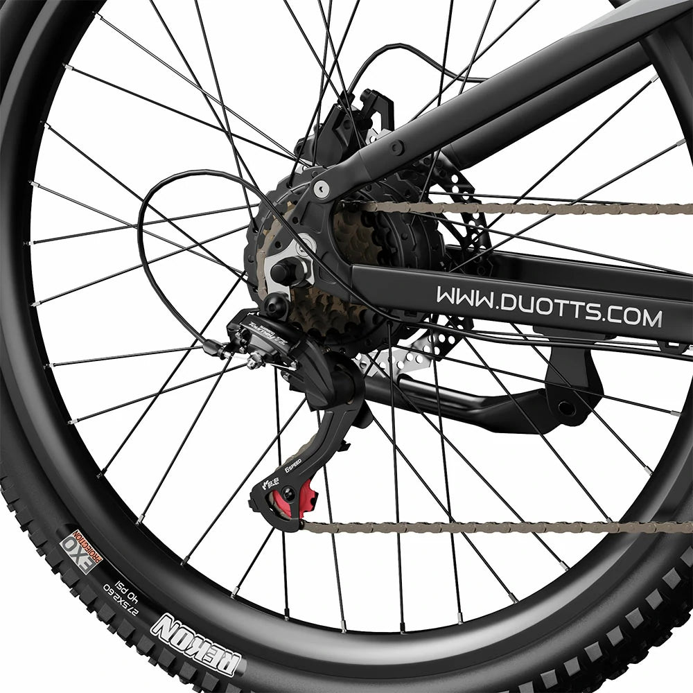 DUOTTS E29 (EU) Electric Bike