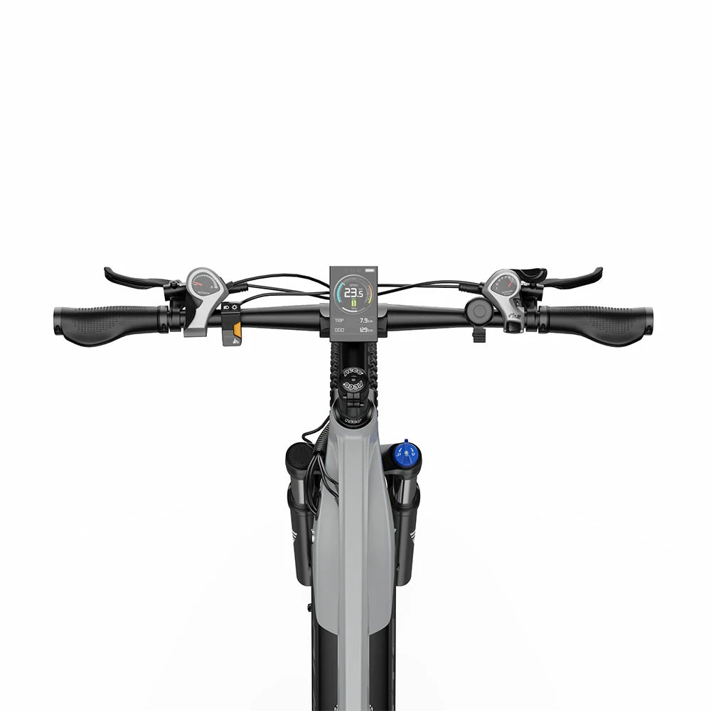 DUOTTS E29 (EU) Electric Bike