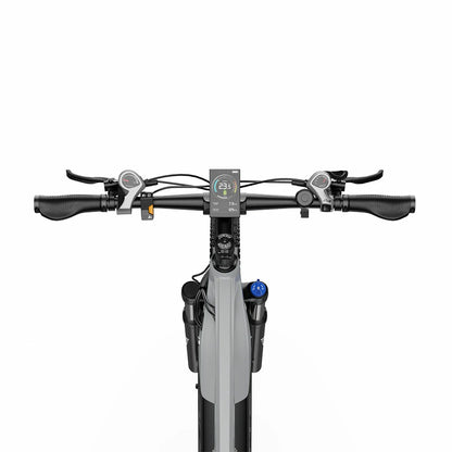 DUOTTS E29 (EU) Electric Bike