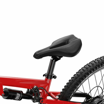 DUOTTS E29 (EU) Electric Bike