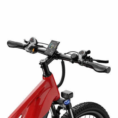 DUOTTS E29 (EU) Electric Bike