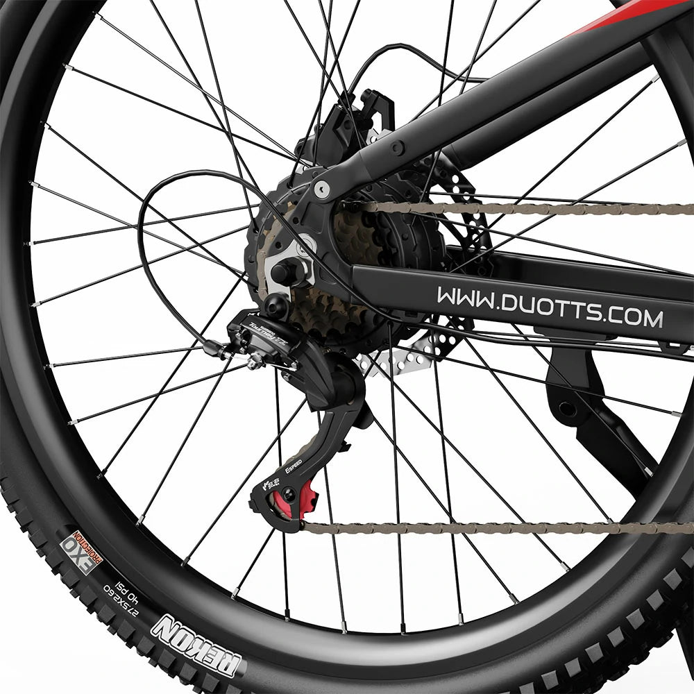 DUOTTS E29 (EU) Electric Bike
