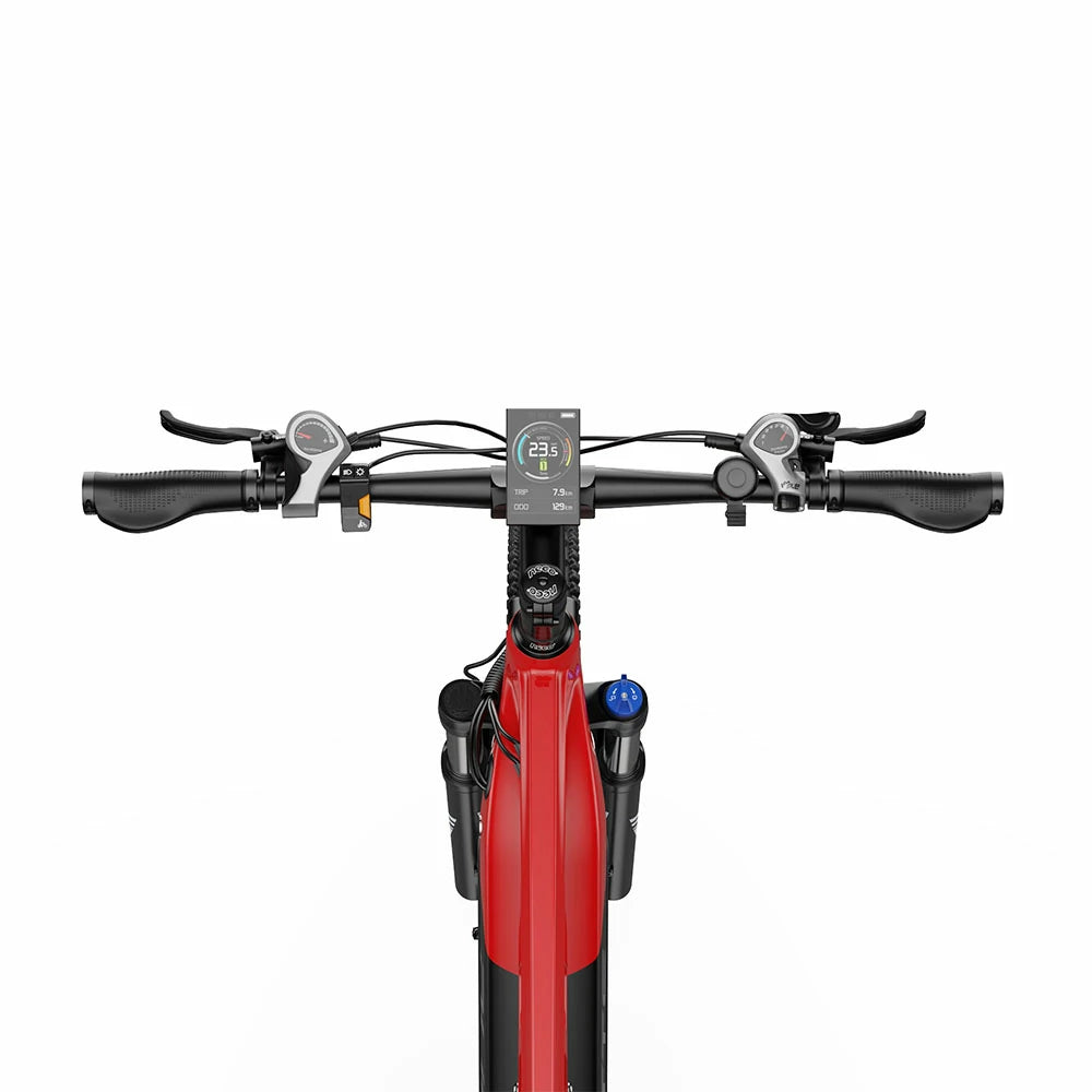 DUOTTS E29 (EU) Electric Bike
