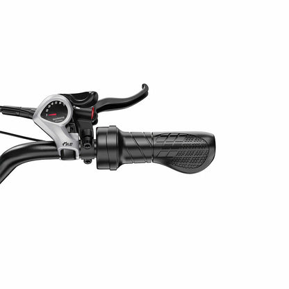 DUOTTS F20 (EU) Electric Bike