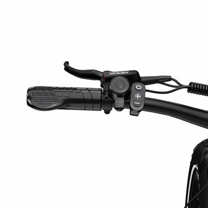 DUOTTS F26 Lite (EU) Electric Bike