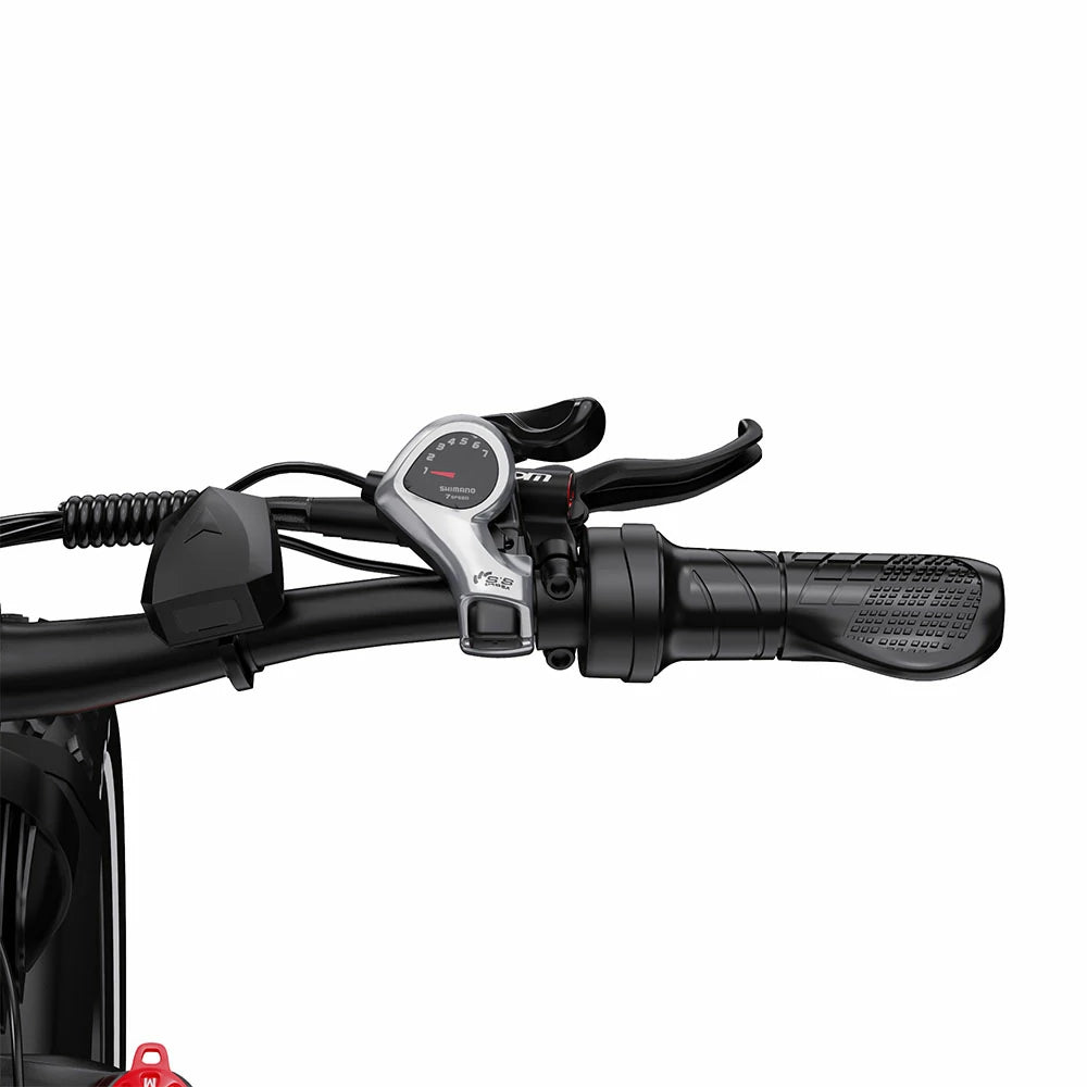 DUOTTS F26 Lite (EU) Electric Bike