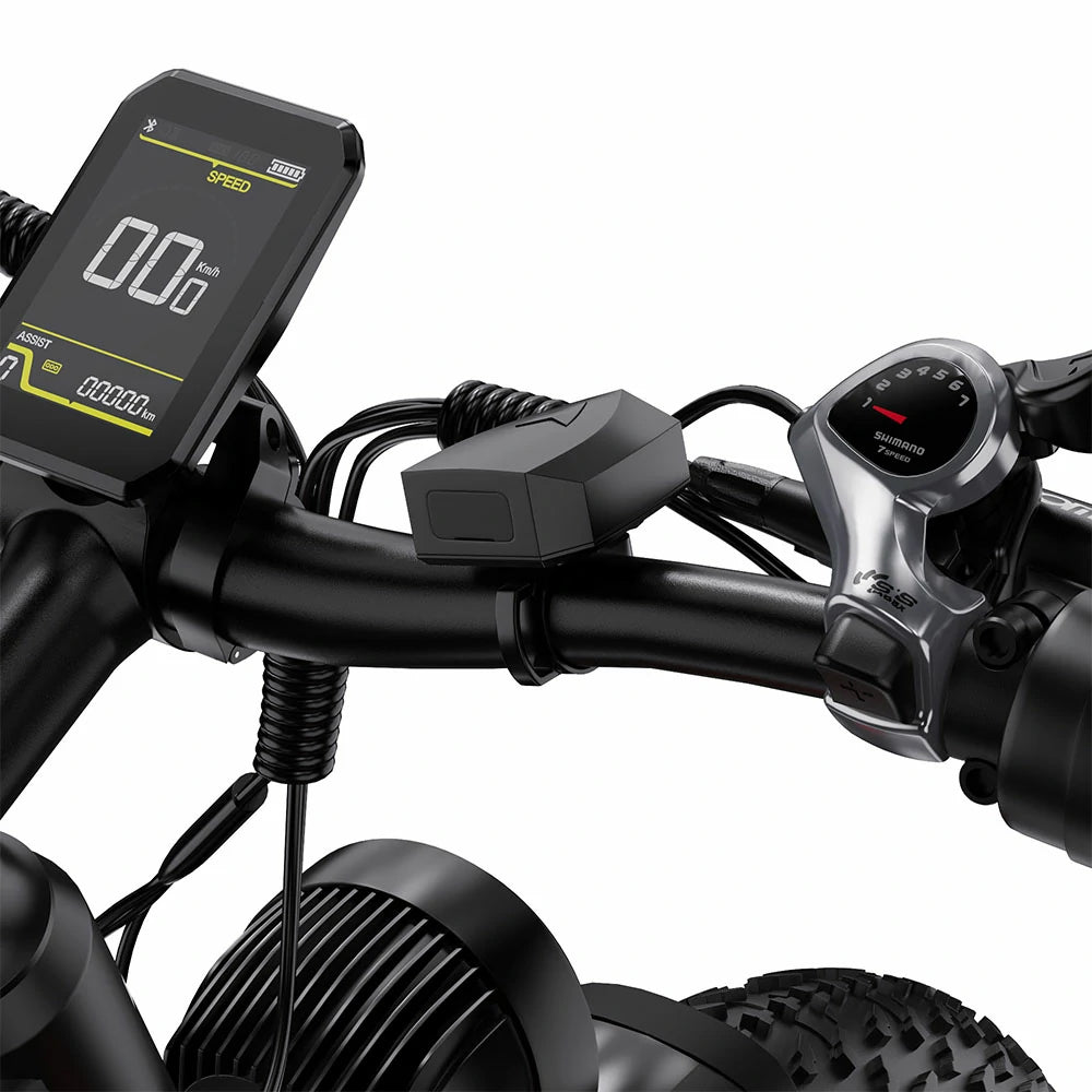 DUOTTS F26 Lite (EU) Electric Bike