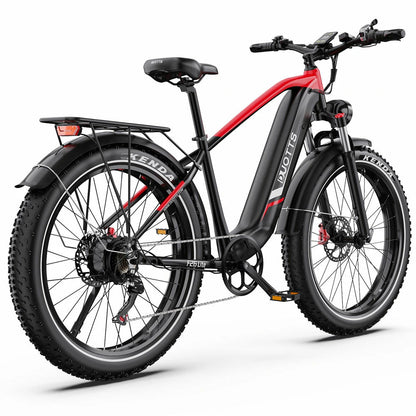 DUOTTS F26 Lite (EU) Electric Bike