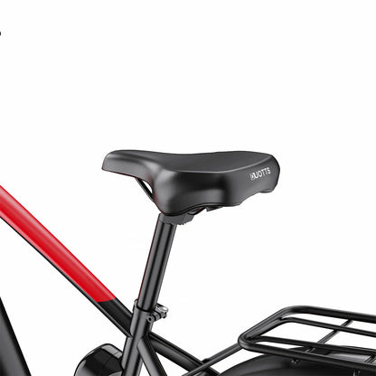 DUOTTS F26 (EU) Electric Bike