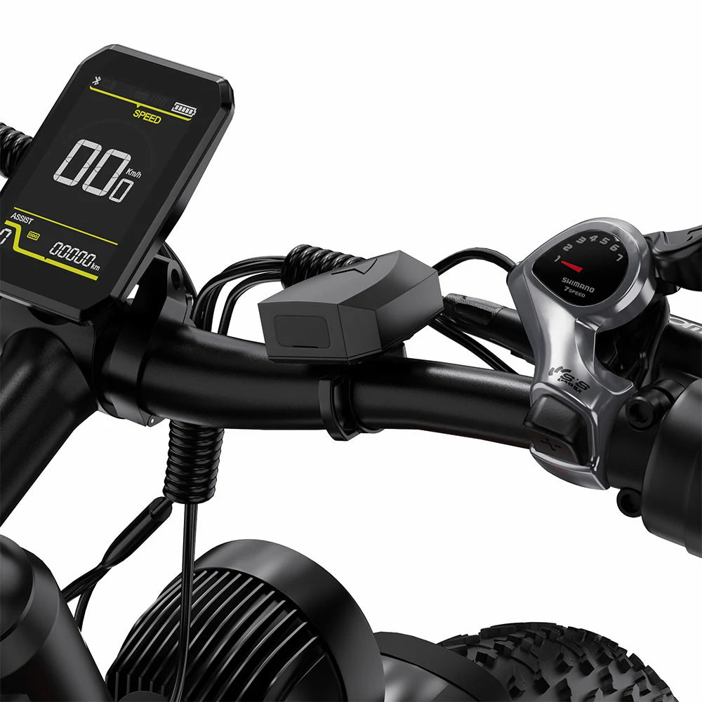 DUOTTS F26 (EU) Electric Bike