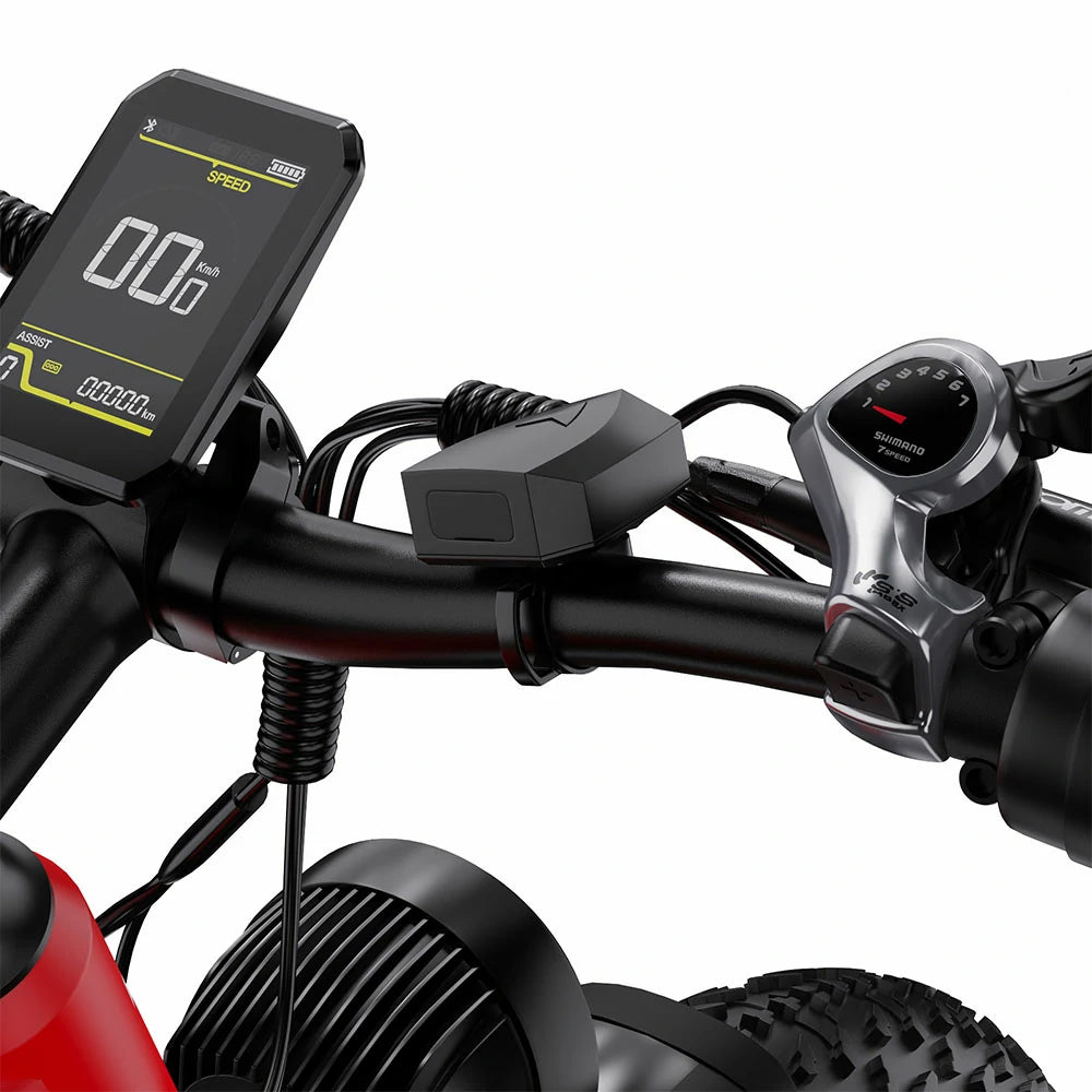 DUOTTS F26 (EU) Electric Bike