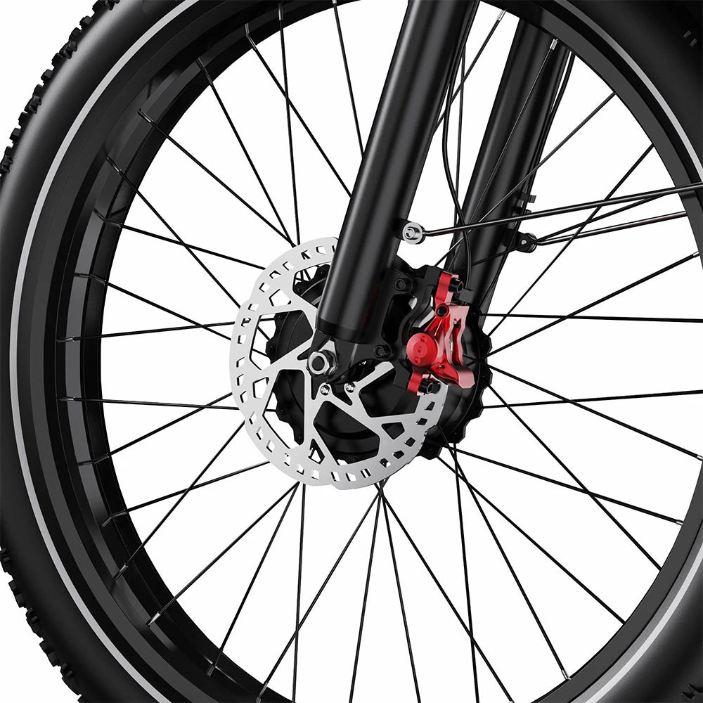 DUOTTS F26 (EU) Electric Bike