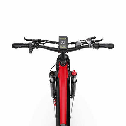 DUOTTS F26 (EU) Electric Bike