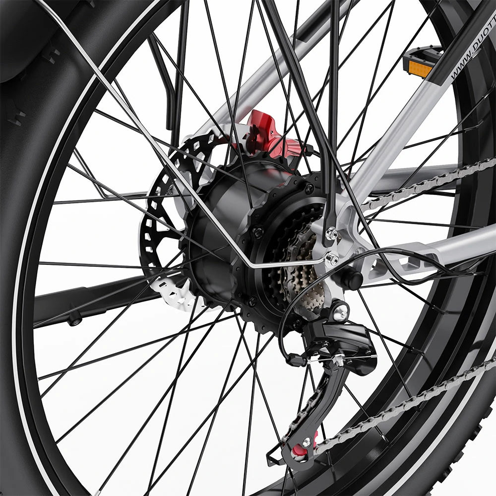 DUOTTS F26 (EU) Electric Bike