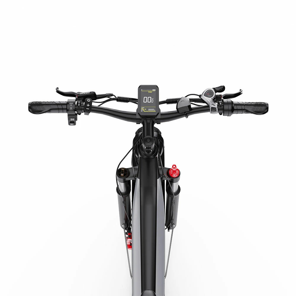 DUOTTS F26 (EU) Electric Bike