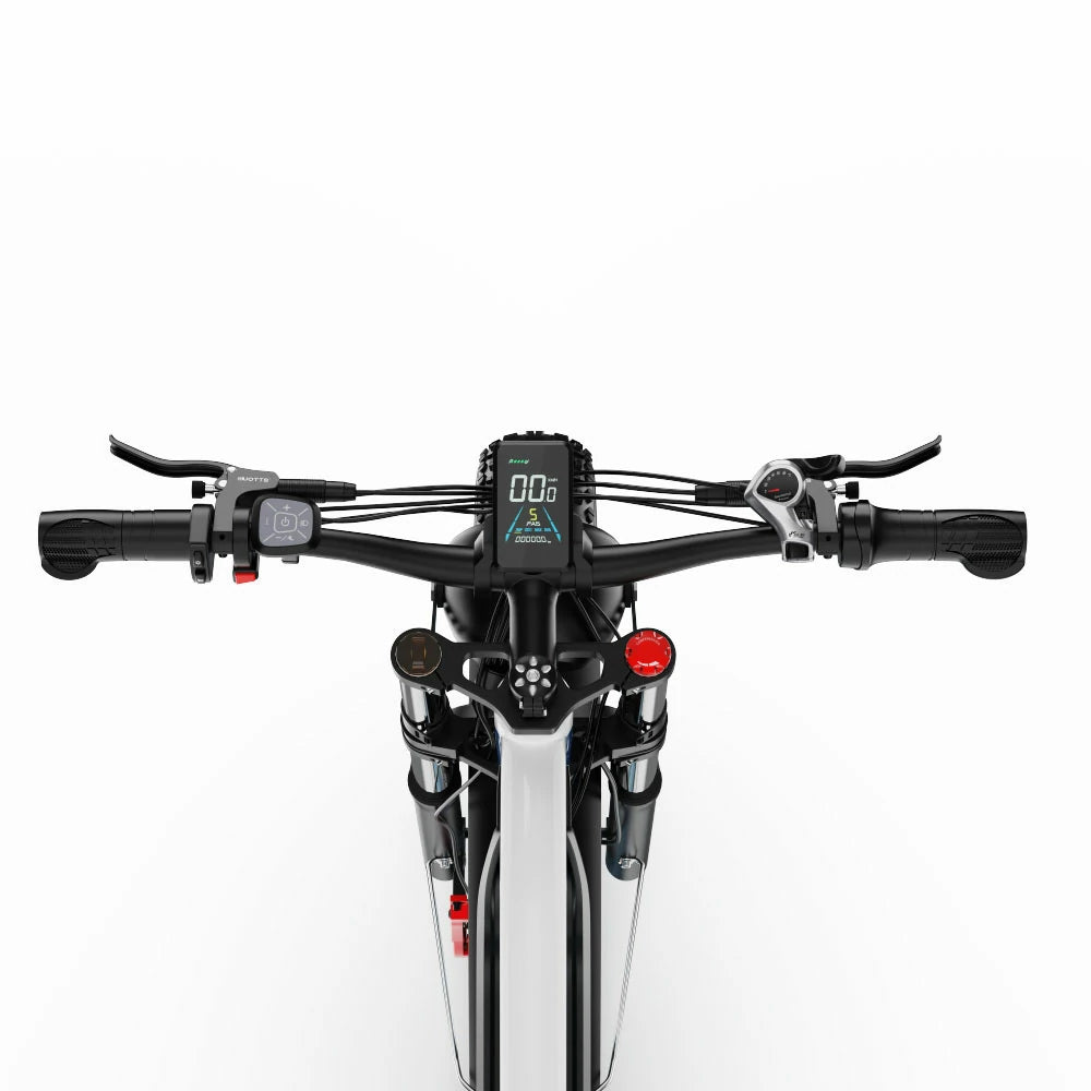 DUOTTS N26 (EU) Electric Bike