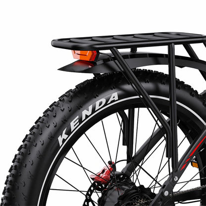 DUOTTS S26 (EU) Electric Bike